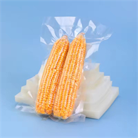 Vacuum bag   from disposablesInc.com. Import  disposable items from China, The best import service in China. 